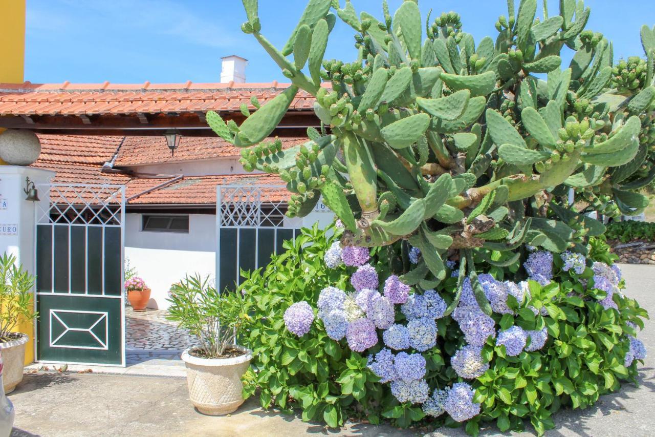 Quinta De Vale Escuro Hotel Lousa  Bagian luar foto
